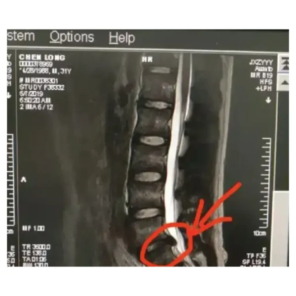 Premium back support cushion Aminsuk